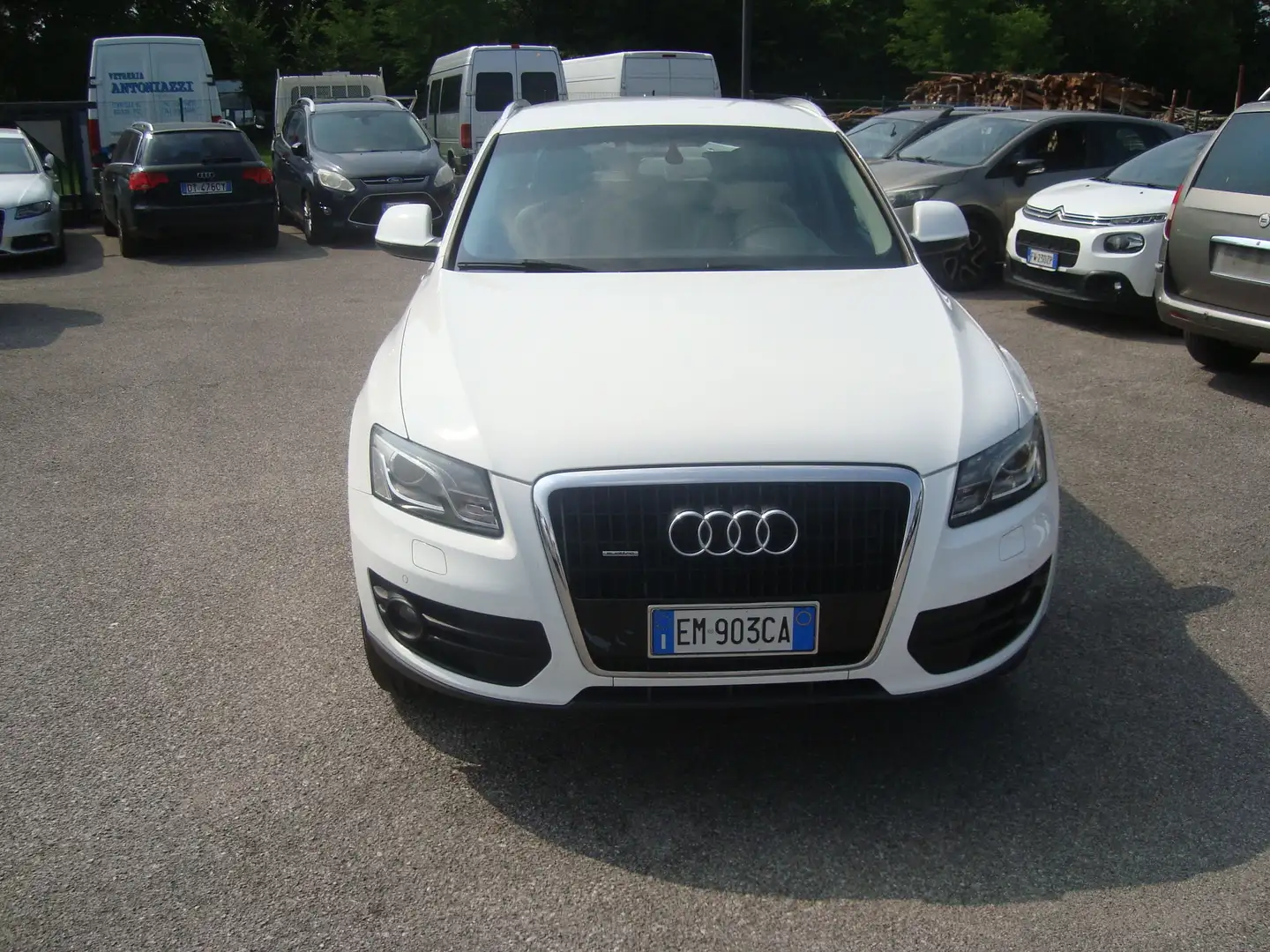 Audi Q5 Q5 3.0 V6 tdi Advanced Plus quattro s-tronic - 2