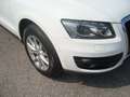 Audi Q5 Q5 3.0 V6 tdi Advanced Plus quattro s-tronic - thumbnail 6