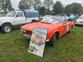 Peugeot 504 504 2.0 Cabrio Inj. Orange - thumbnail 3
