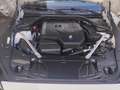 BMW Z4 M SPORT.CERCHI 19.TLECAMERA.VIRTUAL Weiß - thumbnail 21