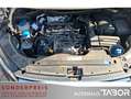 Volkswagen Caddy Maxi 2.0 TDI DSG CL 7S PDC Nav SHZ Climat Violett - thumbnail 12