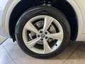 Audi Q5 40 2.0 tdi Sport quattro 190cv s-tronic - thumbnail 19