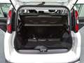 Fiat Panda PANDINA 1.0 70CV MY25 HYBRID KM0 PREZZO REALE! Bianco - thumbnail 14