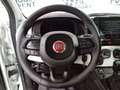 Fiat Panda PANDINA 1.0 70CV MY25 HYBRID KM0 PREZZO REALE! Bianco - thumbnail 10