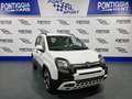 Fiat Panda PANDINA 1.0 70CV MY25 HYBRID KM0 PREZZO REALE! Bianco - thumbnail 3