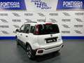 Fiat Panda PANDINA 1.0 70CV MY25 HYBRID KM0 PREZZO REALE! Bianco - thumbnail 5