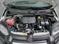 Fiat Panda PANDINA 1.0 70CV MY25 HYBRID KM0 PREZZO REALE! Bianco - thumbnail 15