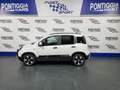 Fiat Panda PANDINA 1.0 70CV MY25 HYBRID KM0 PREZZO REALE! Bianco - thumbnail 4
