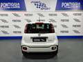 Fiat Panda PANDINA 1.0 70CV MY25 HYBRID KM0 PREZZO REALE! Bianco - thumbnail 6