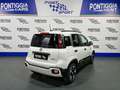 Fiat Panda PANDINA 1.0 70CV MY25 HYBRID KM0 PREZZO REALE! Bianco - thumbnail 7