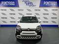 Fiat Panda PANDINA 1.0 70CV MY25 HYBRID KM0 PREZZO REALE! Bianco - thumbnail 2