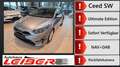Kia Ceed SW / cee'd SW CEED_SW 1.5T 48V DCT 140 Ultimate Edition Silber - thumbnail 1