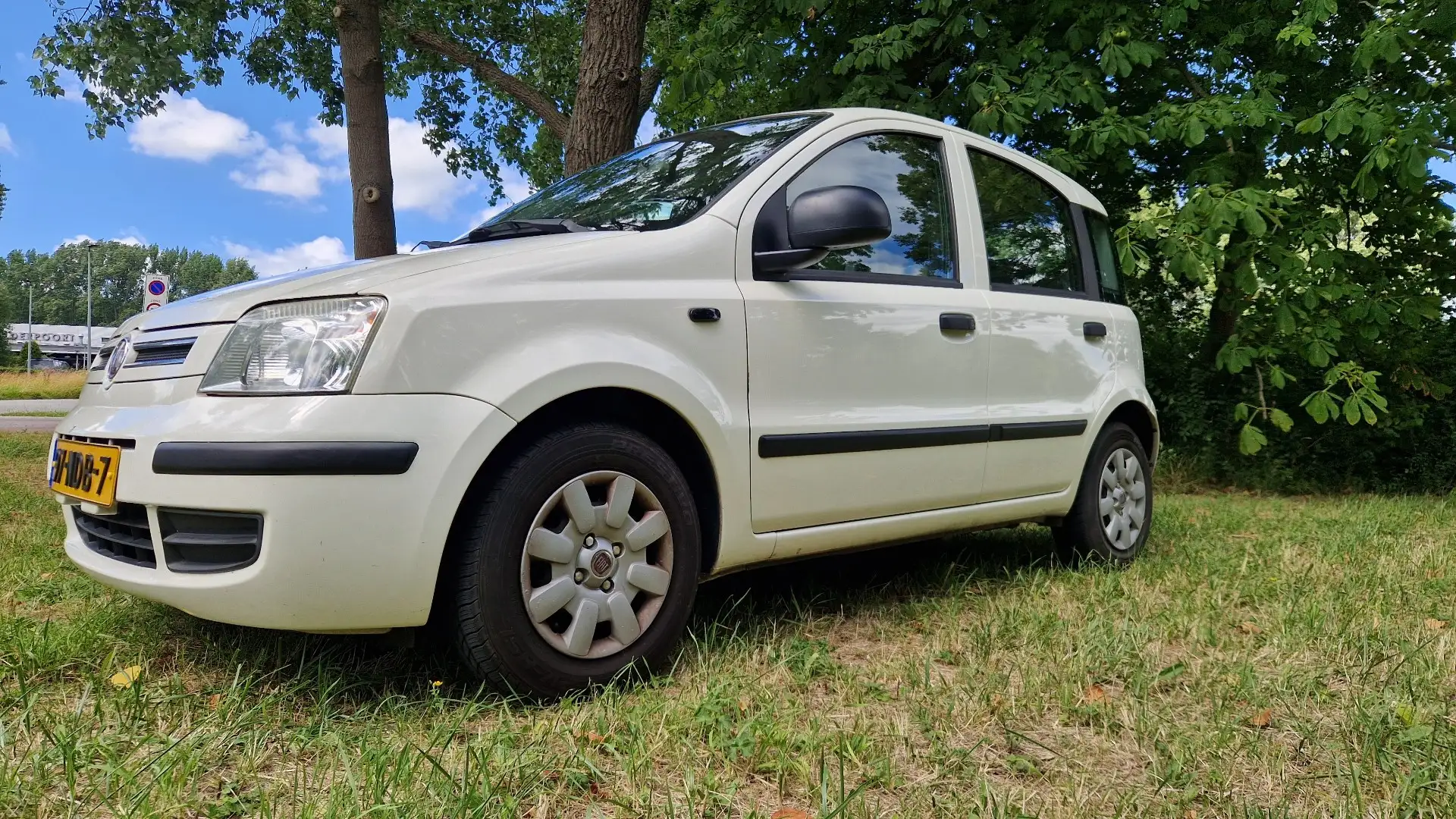 Fiat Panda 1.2 Active Blanc - 2