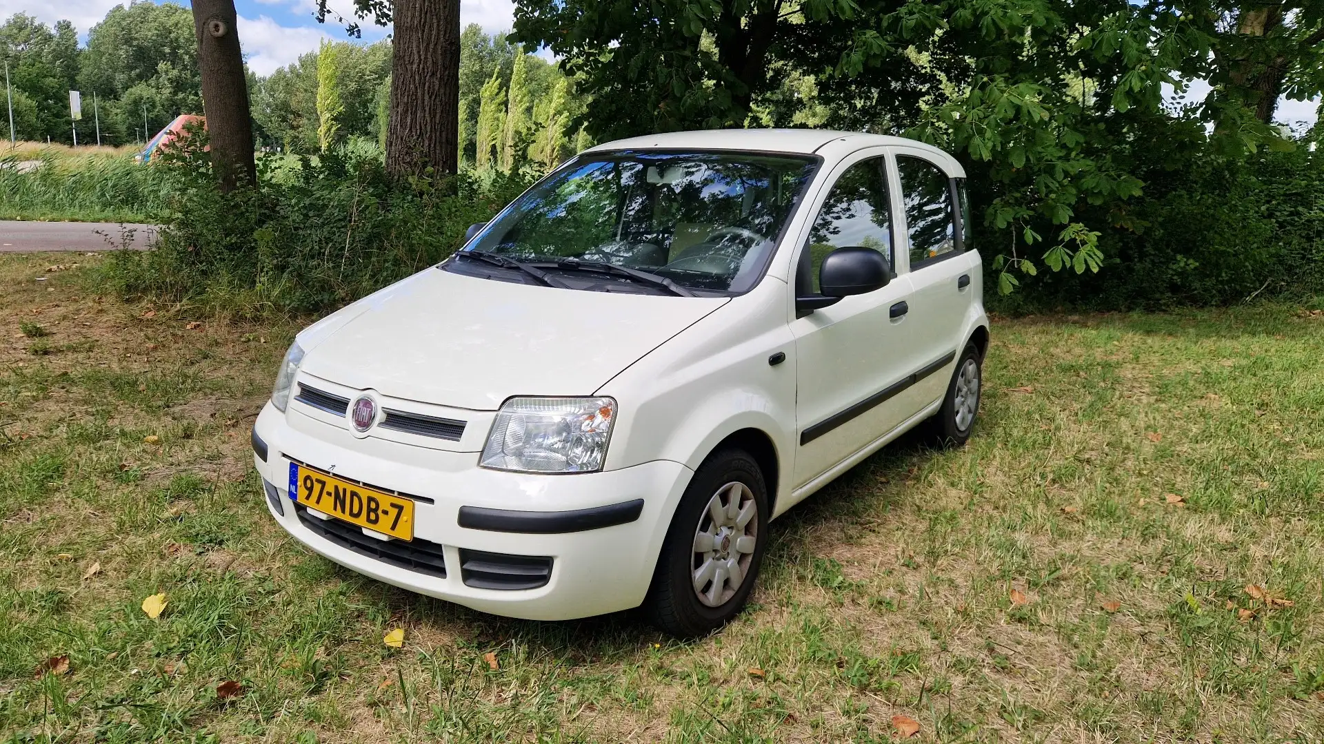 Fiat Panda 1.2 Active Blanc - 1