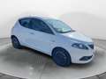 Lancia Ypsilon 1.0 FireFly 5 porte S&S Hybrid Platino Bianco - thumbnail 8