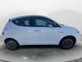 Lancia Ypsilon 1.0 FireFly 5 porte S&S Hybrid Platino Bianco - thumbnail 7