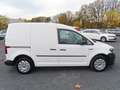 Volkswagen Caddy 2,0TDIEcoProfi Kasten Klima Sitzh AHK 1.Hd Blanc - thumbnail 39
