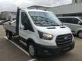 Ford Transit 350 L3 VA Trend PRITSCHE SOFORT VERFÜGBAR Blanc - thumbnail 2