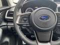 Subaru Forester 2.0i e-BOXER Premium AWD AUT. | navigatie | trekha Wit - thumbnail 41