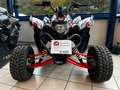 Aeon Cobra 424 SX EFI Supermoto Euro5 Black - thumbnail 8