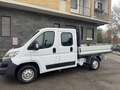 Fiat Ducato 35 2.0 mjt115cv PM DOPPIA CABINA CASSONE FISSO Bianco - thumbnail 10