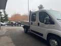 Fiat Ducato 35 2.0 mjt115cv PM DOPPIA CABINA CASSONE FISSO Bianco - thumbnail 3