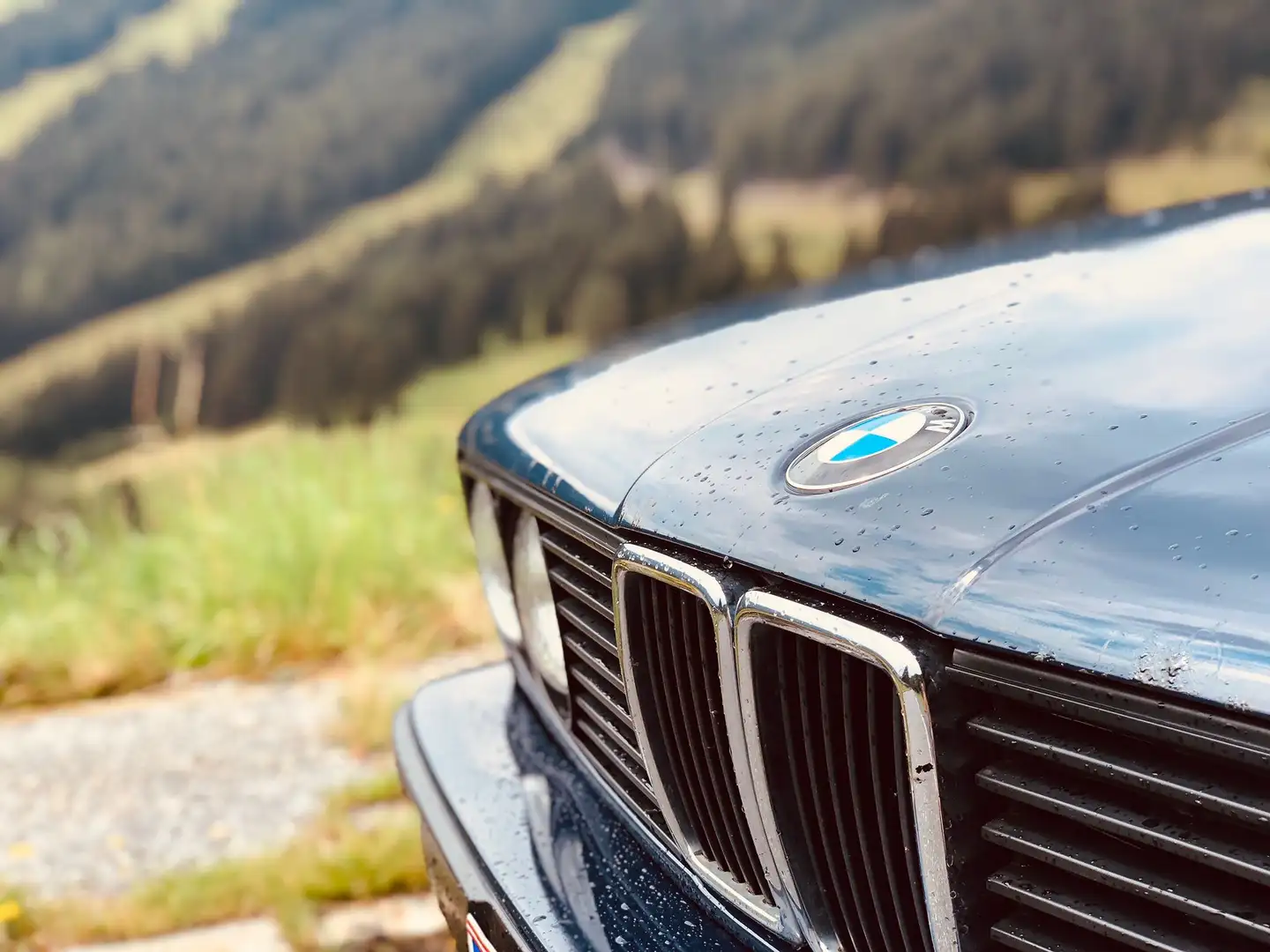 BMW 318 318i - 1