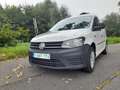 Volkswagen Caddy Caddy 2.0 TDI Alltrack Blanc - thumbnail 10