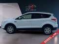 Ford Kuga 1.5 Trend Weiß - thumbnail 4
