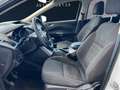 Ford Kuga 1.5 Trend Weiß - thumbnail 9