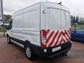 Ford Transit 2.0 TDCI 75 000 KM L2H2 130 pk Blanc - thumbnail 2