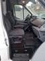 Ford Transit 2.0 TDCI 75 000 KM L2H2 130 pk Blanc - thumbnail 9
