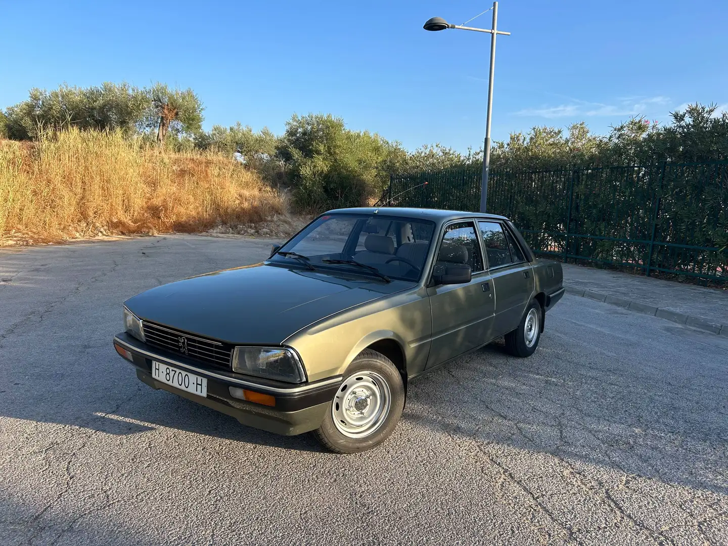 Peugeot 505 505 2.0 GL Verde - 1