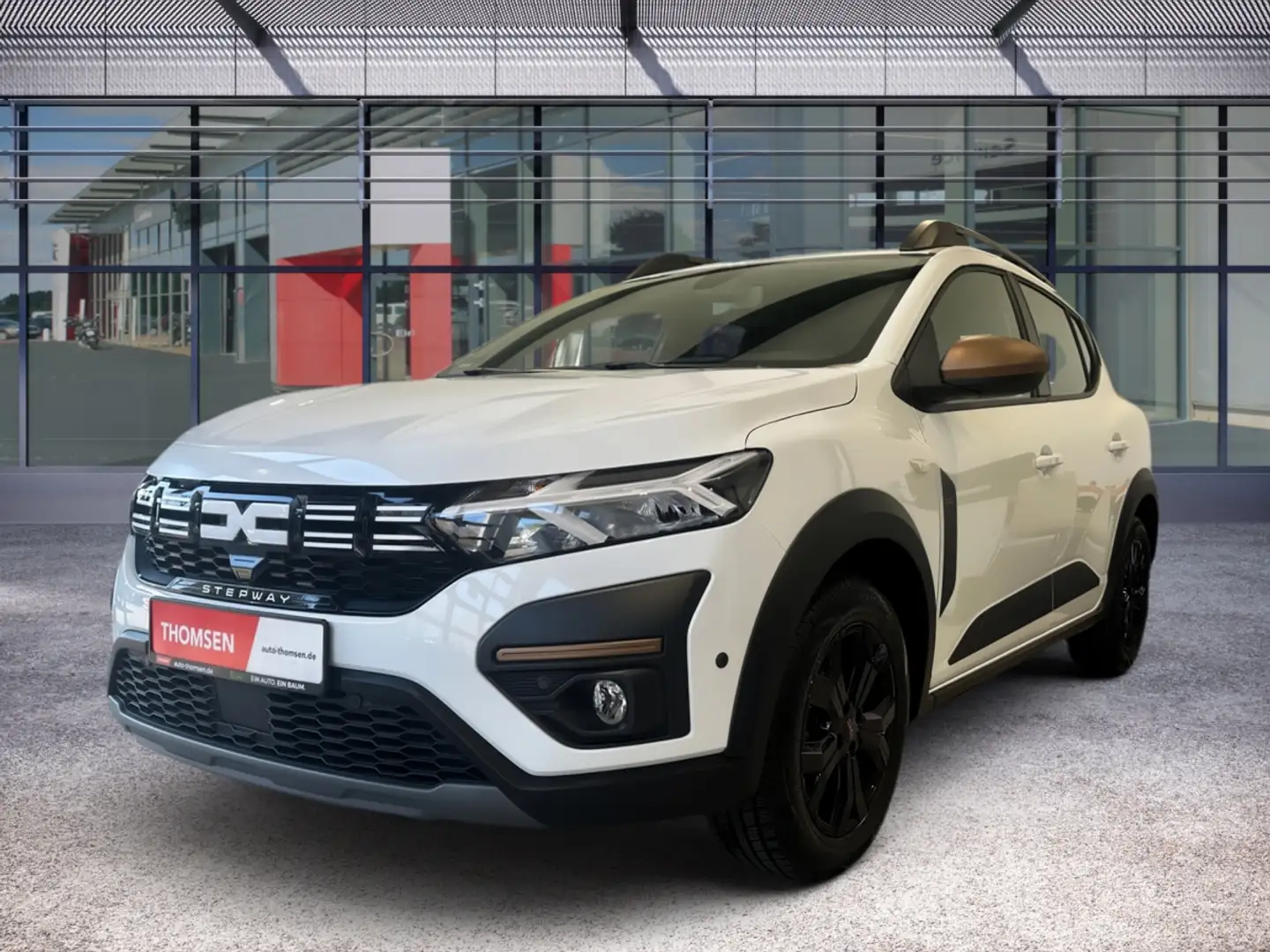 Dacia Sandero III Extreme Stepway + SHZ PDC KAM Wit - 2