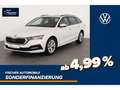 Skoda Octavia Combi 1.4 TSI iV Ambition DSG AHK/Pano Weiß - thumbnail 1