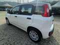 Fiat Panda Panda1.2 Easy Blanco - thumbnail 4