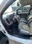 Fiat Panda Panda1.2 Easy Blanco - thumbnail 9