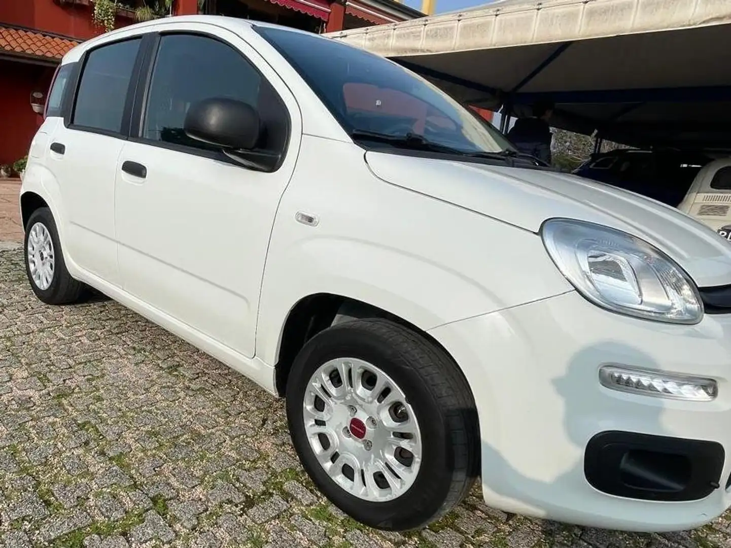 Fiat Panda Panda1.2 Easy Blanco - 2