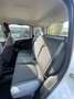 Fiat Panda Panda1.2 Easy Blanco - thumbnail 11