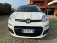 Fiat Panda Panda1.2 Easy Blanco - thumbnail 1