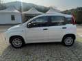 Fiat Panda Panda1.2 Easy Blanco - thumbnail 5