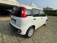 Fiat Panda Panda1.2 Easy Blanco - thumbnail 3