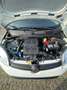 Fiat Panda Panda1.2 Easy Blanco - thumbnail 12