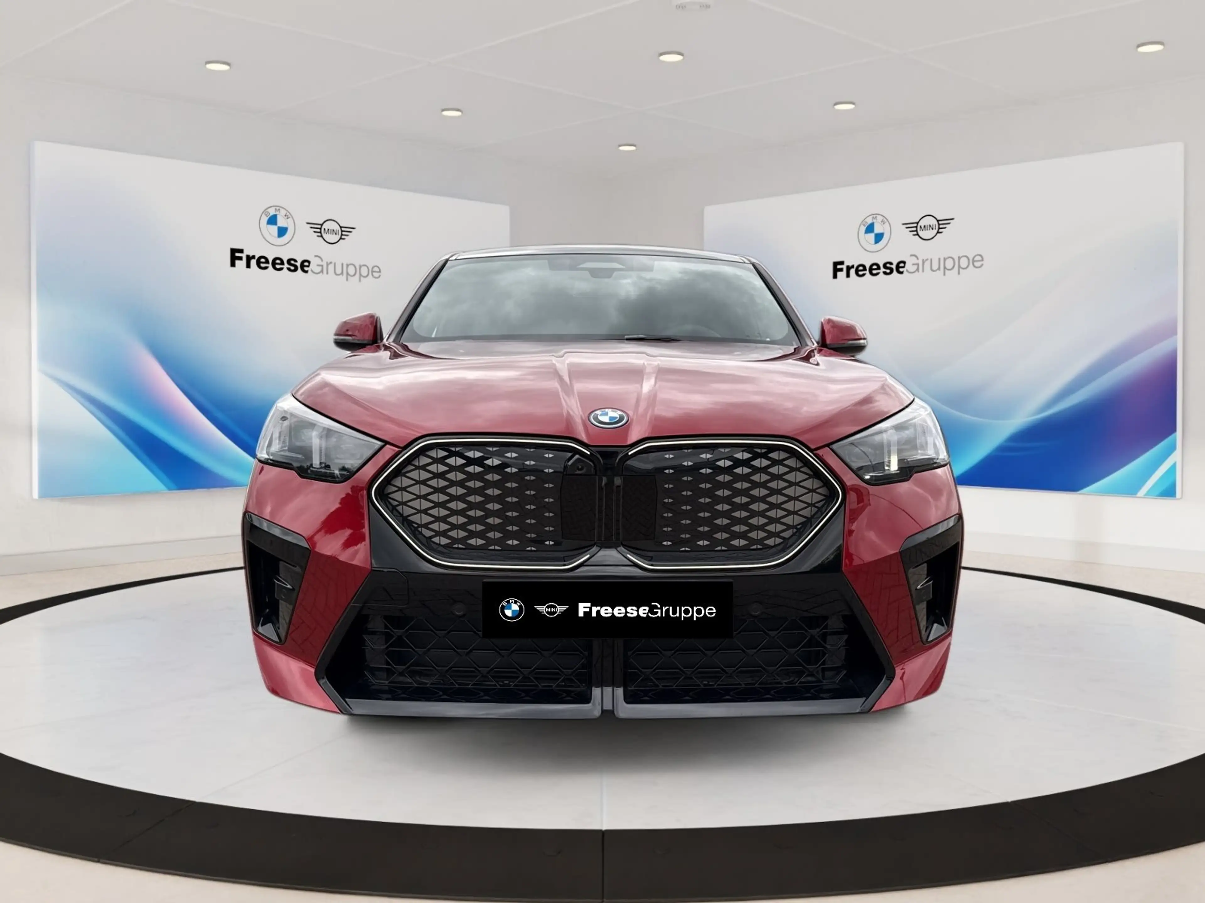 BMW iX2 xDrive30 360° STANDHZ HEAD-UP PANO RFK HIFI — photo 2