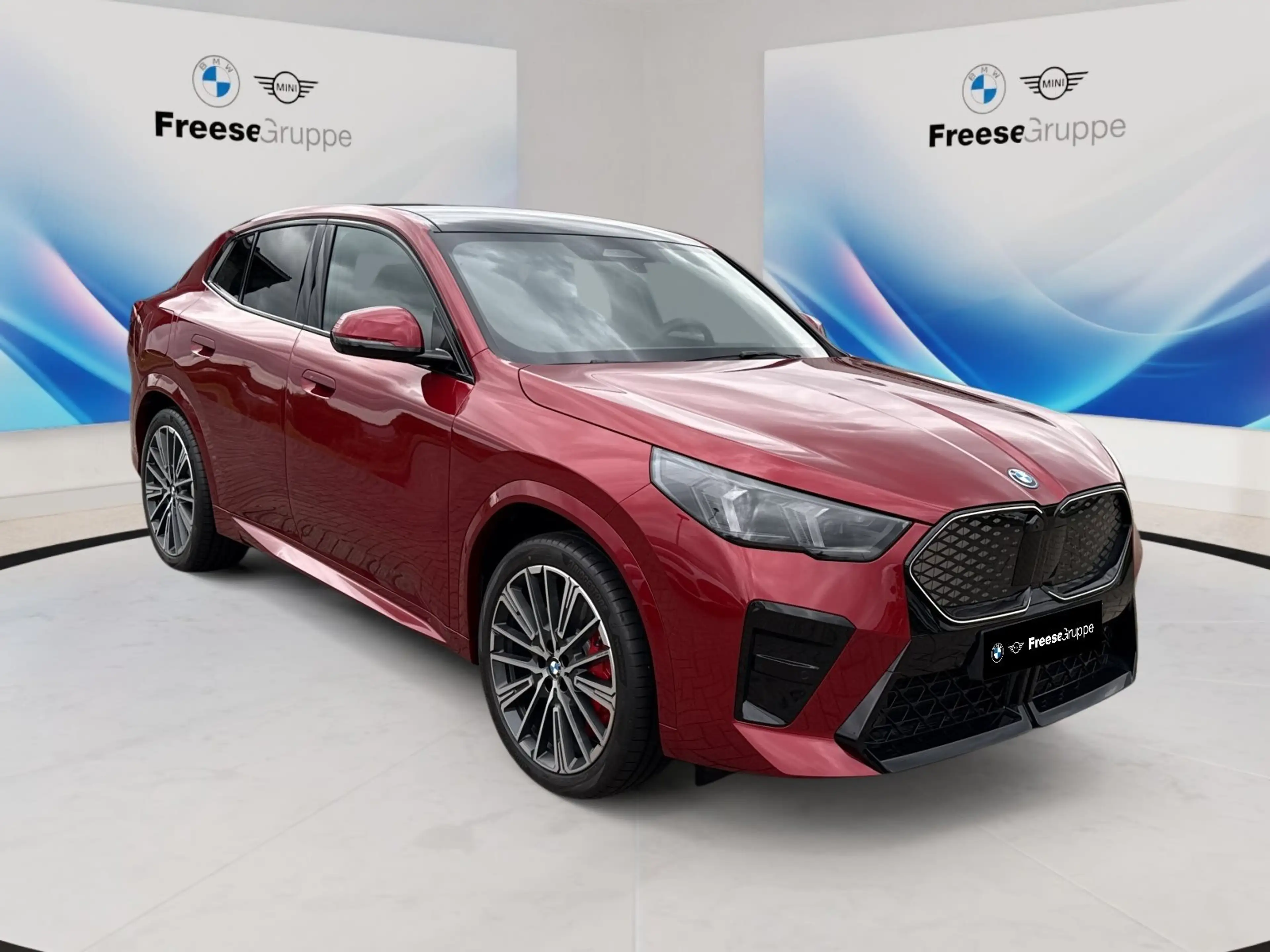 BMW iX2 xDrive30 360° STANDHZ HEAD-UP PANO RFK HIFI — photo 8