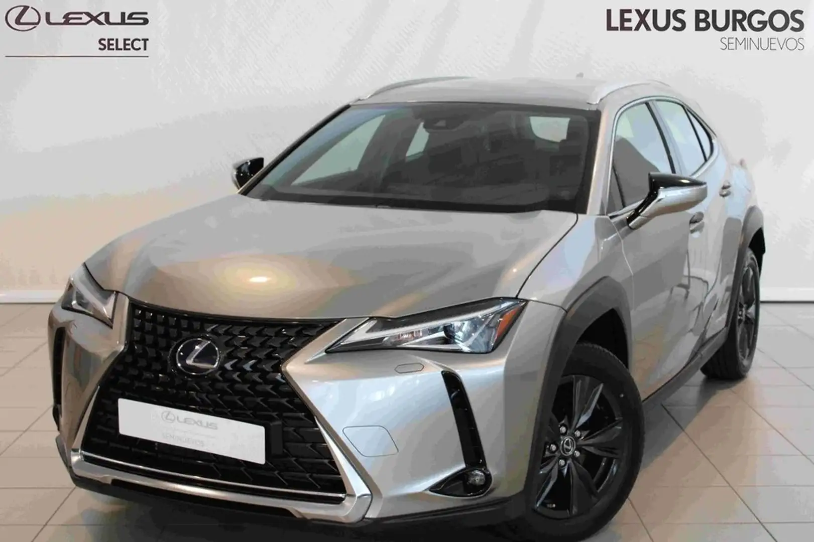 Lexus UX 250h Business City 2WD Gris - 1