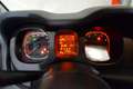 Fiat Panda Cross 1.0 70CV S&S Hybrid 5 posti Bianco - thumbnail 8
