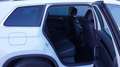 Skoda Kodiaq 2.0 TDI DSG 4x4 L&K Virtual/ACC/360*/19 Белый - thumbnail 8