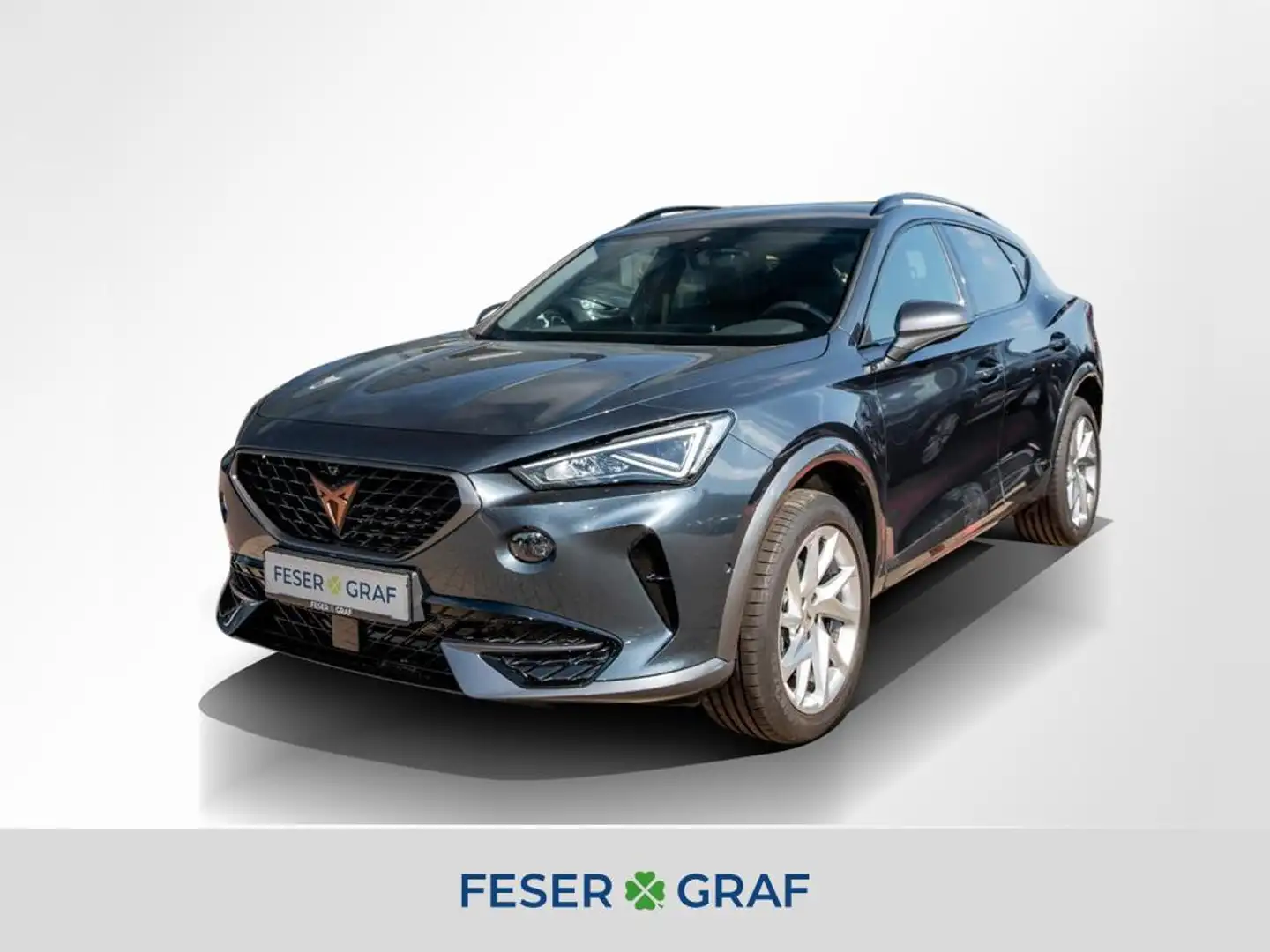CUPRA Formentor 1.5 TSI DSG/NAVI/360°/SHZ/DAB Grau - 1