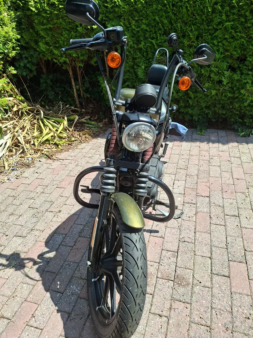 Harley-Davidson Iron 883 Zelená - 1